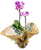 Mini orquídea na juta - Imagem 1