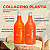 Kit Collagenoplastia Escova Progressiva Gloss e Shampoo - Imagem 5