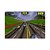 Jogo San Francisco Rush Extreme Racing Nintendo 64 Usado Original - Imagem 6