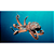 Filme IMAX Deep Sea 3D Usado - Imagem 4