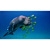 Filme IMAX Deep Sea 3D Usado - Imagem 3