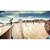 Jogo Skate Xbox 360 Usado S/encarte - Imagem 5