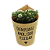 Rótulo Kraft Quem Planta Amor, colhe Felicidade Vaso 06 - Imagem 2