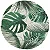 JG AMERICANO NIA MANAUS EST 4PCS 38 RED 012 - Imagem 1