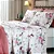 Jogo de Cama Casal Prisma Estampa Tabata C/ 4 Pcs 150 fios Döhler am 5158 - Imagem 1