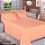 Jogo Cama Estamparia Premium Plus Casal Desenho 7789 Salmao - Imagem 2