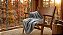Cobertor Camesa Velour 300G Queen 220X240 Cinza - Imagem 2