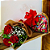 Buque de 3 Rosas Vermelhas com Coração de Madeira de Sonhos de Valsa - Imagem 1