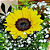 Caneca Encantada - Imagem 2