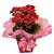 Kalandiva Plantada - Imagem 2