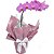 Orquídea pink Phalaenopsis - Imagem 2