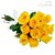 Buquê de 12 rosas amarelas - Imagem 1