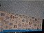 SDG-021 - Papel para Scrapbook Dupla Face Gigante - Ursinho azul - Imagem 1