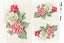 OPAPEL 30X45 FLOR HIBISCO DOBRADO – 2394 - Imagem 1