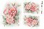 OPAPEL 30X45 FLOWERS – 2400 - Imagem 1
