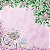 SC-567-Butterfly 7 - Papel para Scrapbook Dupla Face - Imagem 2