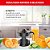 Espremedor de Frutas Arno Suco Express 40W e 750ml de Capacidade Preto CP31 - Imagem 1