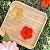 CONJUNTO 2 XÍCARAS FLORES HIBISCO PARA CAFÉ PAREDE DUPLA  RESISTENTE AO CALOR  75ml - Imagem 2