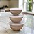 CONJUNTO 3 BOWLS ARMAZENAMENTO COM TAMPA  DE BAMBU E PP LINES - Imagem 2
