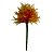 FLOR PERMANENTE SUCULENTA - Imagem 2