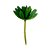 FLOR PERMANENTE SUCULENTA VERDE CLARO - Imagem 1