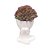 CACHEPOT BOB PERNA CRUZADA - Imagem 2