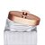 POTE DE VIDRO BOROSSILICATO COM TAMPA DE METAL ROSE GOLD - Imagem 2