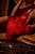 Camisola com Bojo em Tule Liso e Cirre - Vermelha - Imagem 4