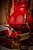 Camisola com Bojo em Tule Liso e Cirre - Vermelha - Imagem 3