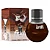 Gel Beijável Fruit Sexy Chocolate 40ml - Imagem 1