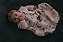 Saco de Dormir Borboleta Planetas 6 a 12 Meses Gesta Slings - Imagem 1