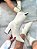 Bota Feminina Agatha Off-White Cano curto Em meia - Imagem 1