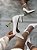 Scarpin Feminino Jordana Off-White - Imagem 3