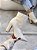 Bota Feminina Perla Off-white Salto Bloco - Imagem 8