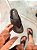 Flatform Feminina Zoe Marrom - Imagem 10