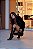 Bota Feminina Chloe Cano alto com Capa removível - Imagem 4