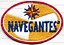 Símbolo Grupo Navegantes - Imagem 1