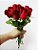 10 Rosas Vermelhas - Imagem 1