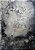 ETHER - Imagem 1