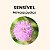 Sensível Essência Floral 10ml - Imagem 2