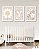 Kit Quadros: Margaridas com Nome - Imagem 6