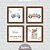 Kit Quadros: Carrinhos Sonhe Alto Meu Pequeno - Imagem 3