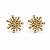 BRINCO ESTRELA GIFT STRASS ROSANA BERNARDES - Imagem 1