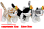 GATO 7359 - Imagem 1