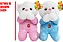 URSO Q. REZA 2761 - Imagem 1