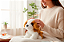 CACHORRO 7353 - Imagem 3