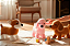 CACHORRO 2856 - Imagem 3