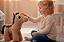CAVALO 2878 - Imagem 2