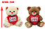 URSO 2899 - Imagem 1