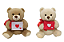 URSO 1900 - Imagem 2